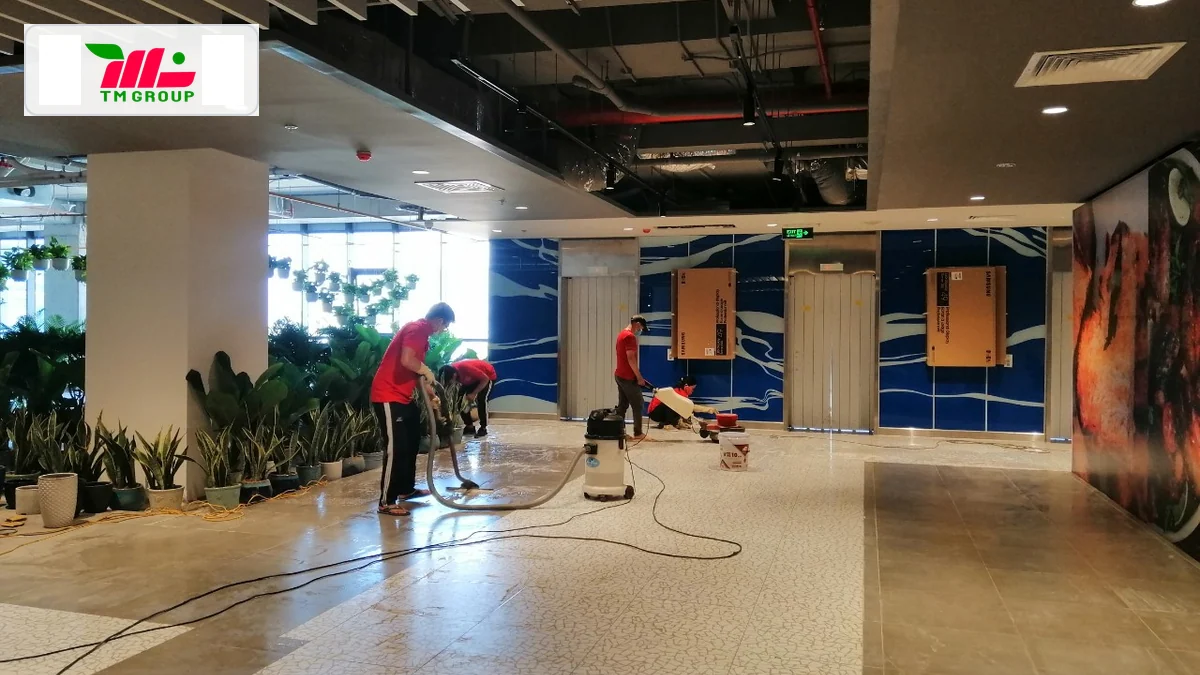 Hướng Dẫn Toàn Diện Về Vệ Sinh Văn Phòng Sạch Sẽ